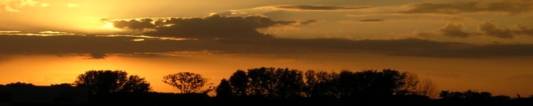 DSCN1572a
