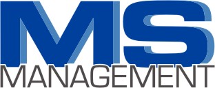 MS Logo